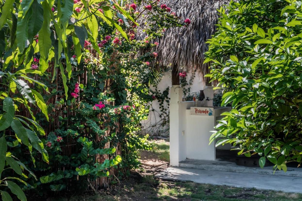 Zoah Surf Boutique Hotel, El Paredon El Paredón Buena Vista 외부 사진